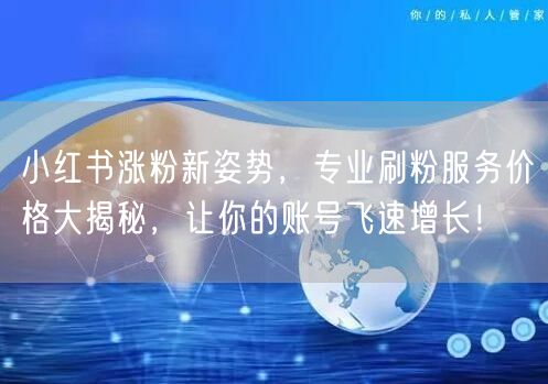 小红书涨粉新姿势，专业刷粉服务价格大揭秘，让你的账号飞速增长！