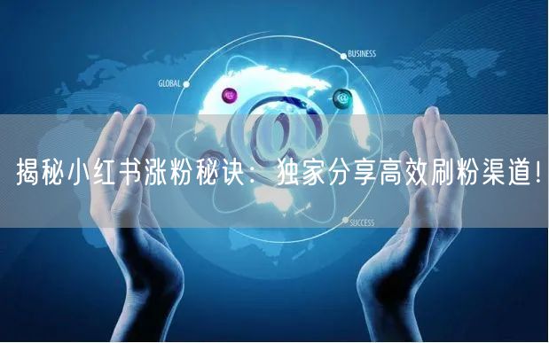 揭秘小红书涨粉秘诀：独家分享高效刷粉渠道！