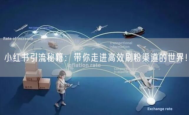 小红书引流秘籍：带你走进高效刷粉渠道的世界！