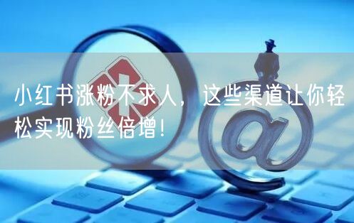 小红书涨粉不求人，这些渠道让你轻松实现粉丝倍增！