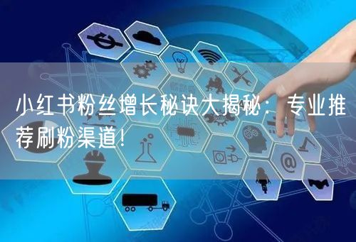 小红书粉丝增长秘诀大揭秘：专业推荐刷粉渠道！