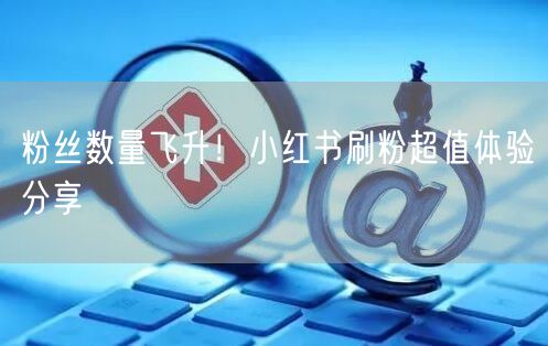 粉丝数量飞升！小红书刷粉超值体验分享