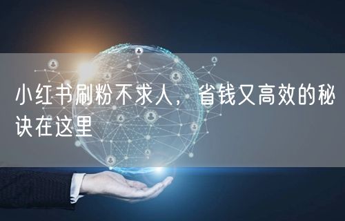 小红书刷粉不求人，省钱又高效的秘诀在这里