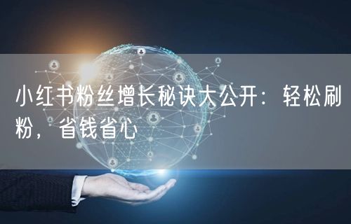 小红书粉丝增长秘诀大公开：轻松刷粉，省钱省心