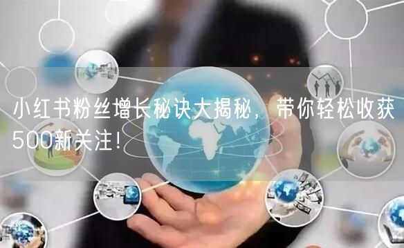 小红书粉丝增长秘诀大揭秘，带你轻松收获500新关注！