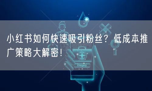 小红书如何快速吸引粉丝？低成本推广策略大解密！
