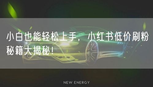 小白也能轻松上手，小红书低价刷粉秘籍大揭秘！