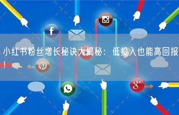 小红书粉丝增长秘诀大揭秘：低投入也能高回报！