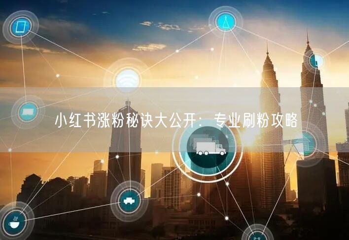 小红书涨粉秘诀大公开：专业刷粉攻略