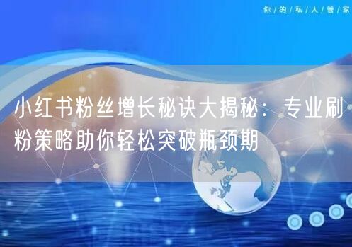 小红书粉丝增长秘诀大揭秘：专业刷粉策略助你轻松突破瓶颈期
