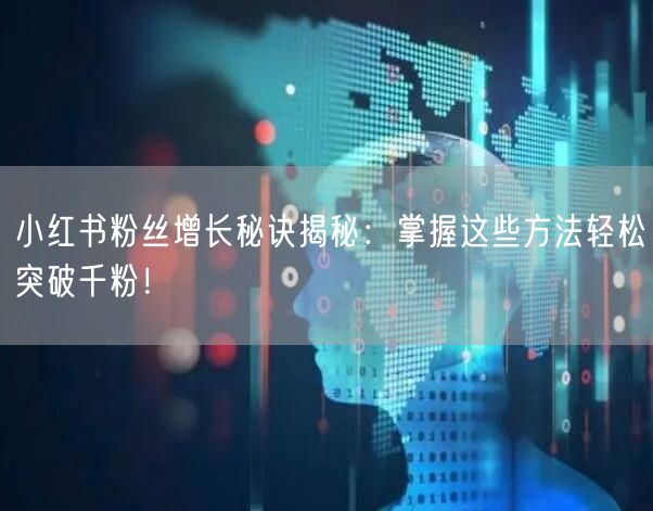 小红书粉丝增长秘诀揭秘：掌握这些方法轻松突破千粉！