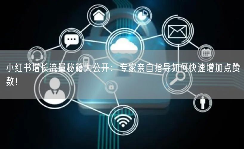 小红书增长流量秘籍大公开：专家亲自指导如何快速增加点赞数！