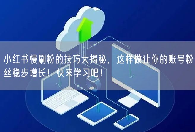 小红书慢刷粉的技巧大揭秘，这样做让你的账号粉丝稳步增长！快来学习吧！