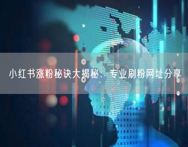 小红书涨粉秘诀大揭秘：专业刷粉网址分享