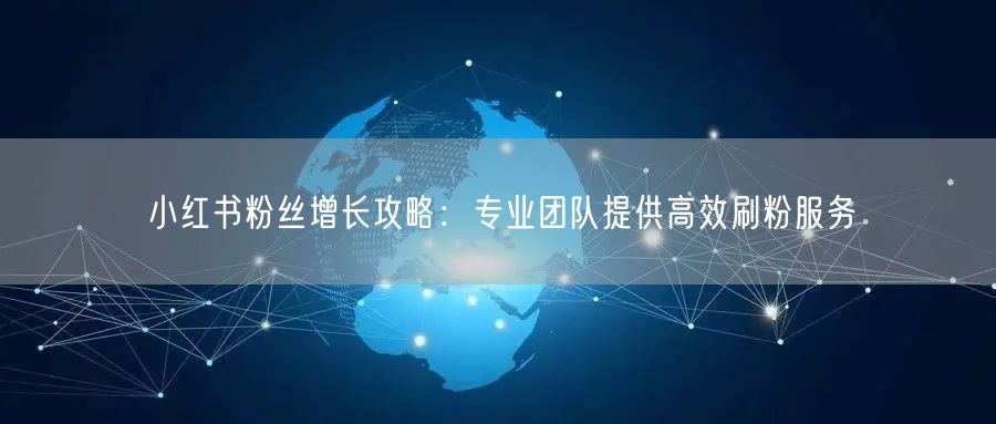 小红书粉丝增长攻略：专业团队提供高效刷粉服务