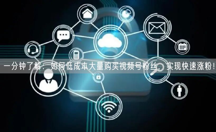 一分钟了解：如何低成本大量购买视频号粉丝，实现快速涨粉！