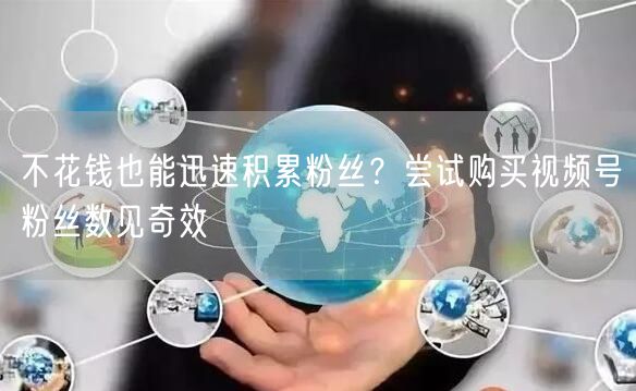 不花钱也能迅速积累粉丝？尝试购买视频号粉丝数见奇效