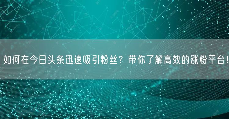 如何在今日头条迅速吸引粉丝？带你了解高效的涨粉平台！