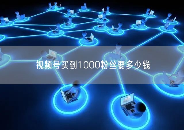 视频号买到1000粉丝要多少钱