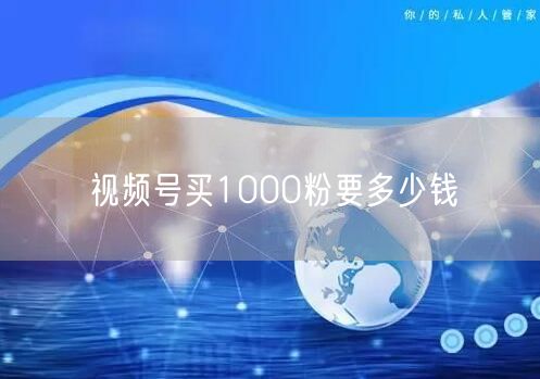 视频号买1000粉要多少钱
