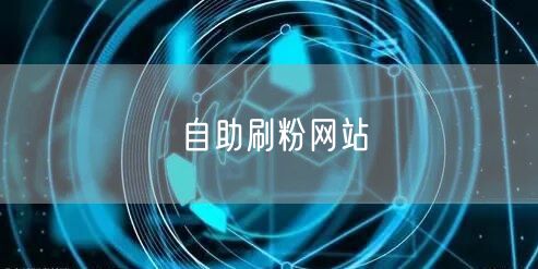 自助刷粉网站