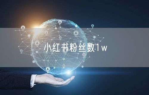 小红书粉丝数1w