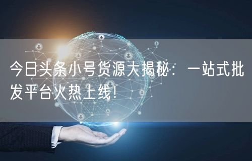 今日头条小号货源大揭秘：一站式批发平台火热上线！