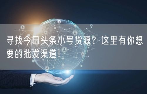 寻找今日头条小号货源？这里有你想要的批发渠道！