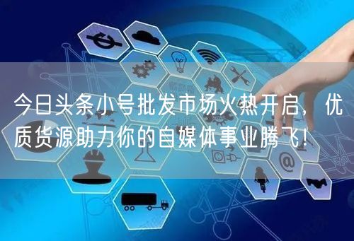 今日头条小号批发市场火热开启，优质货源助力你的自媒体事业腾飞！