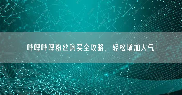 哔哩哔哩粉丝购买全攻略，轻松增加人气！