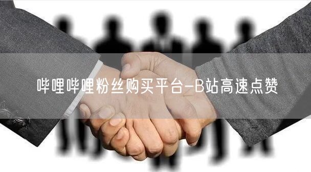 哔哩哔哩粉丝购买平台-B站高速点赞