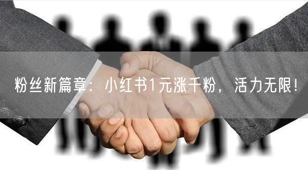 粉丝新篇章：小红书1元涨千粉，活力无限！