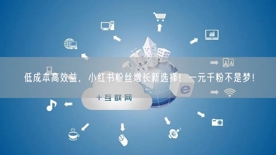 低成本高效益，小红书粉丝增长新选择！一元千粉不是梦！