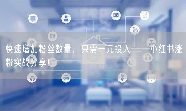 快速增加粉丝数量，只需一元投入——小红书涨粉实战分享！