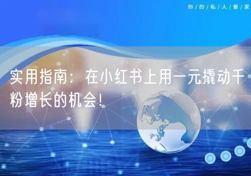 实用指南：在小红书上用一元撬动千粉增长的机会！