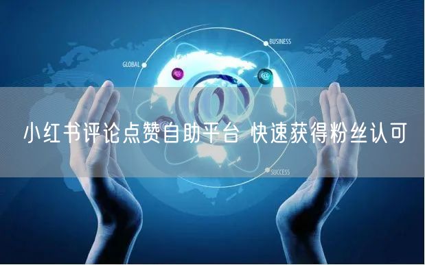 小红书评论点赞自助平台 快速获得粉丝认可