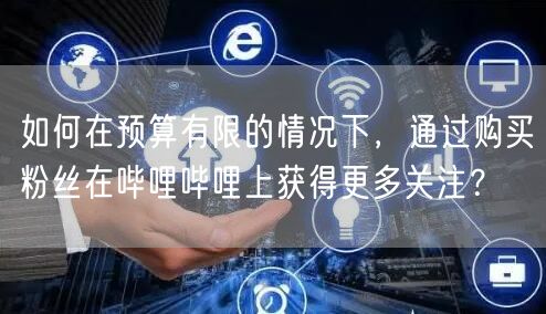 如何在预算有限的情况下，通过购买粉丝在哔哩哔哩上获得更多关注？