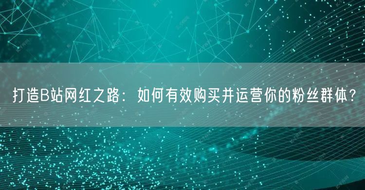 打造B站网红之路：如何有效购买并运营你的粉丝群体？