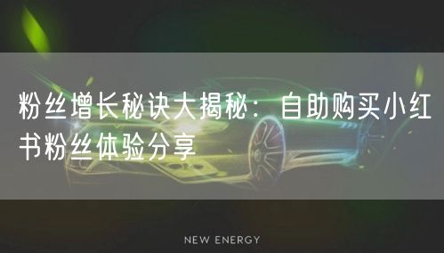 粉丝增长秘诀大揭秘：自助购买小红书粉丝体验分享