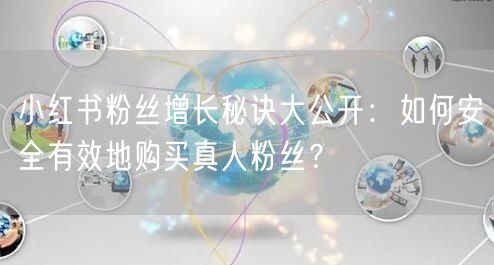 小红书粉丝增长秘诀大公开：如何安全有效地购买真人粉丝？