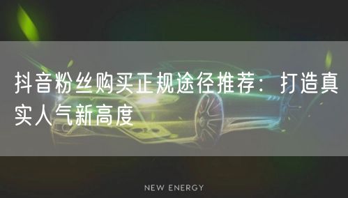 抖音粉丝购买正规途径推荐：打造真实人气新高度