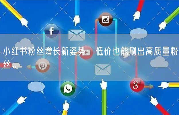 小红书粉丝增长新姿势：低价也能刷出高质量粉丝。