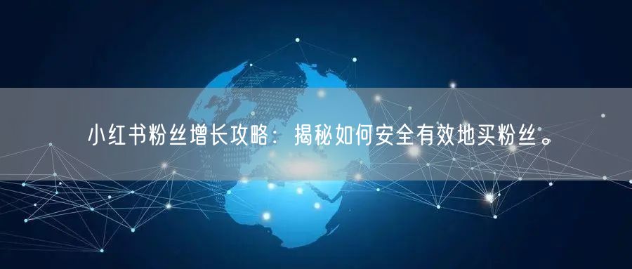 小红书粉丝增长攻略：揭秘如何安全有效地买粉丝。