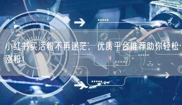 小红书买活粉不再迷茫，优质平台推荐助你轻松涨粉！