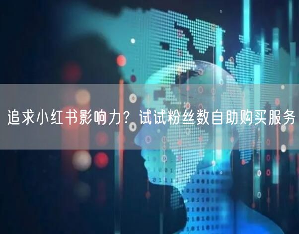 追求小红书影响力？试试粉丝数自助购买服务