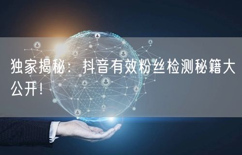 独家揭秘：抖音有效粉丝检测秘籍大公开！