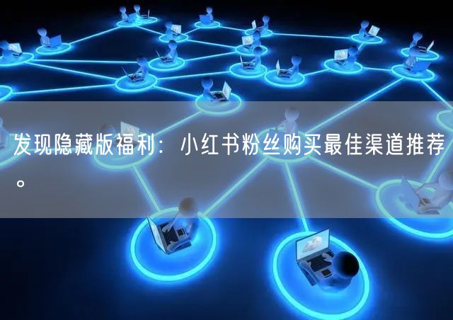 发现隐藏版福利：小红书粉丝购买最佳渠道推荐。