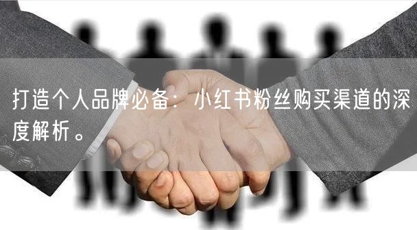 打造个人品牌必备：小红书粉丝购买渠道的深度解析。