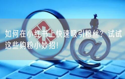 如何在小红书上快速吸引粉丝？试试这些购粉小妙招！