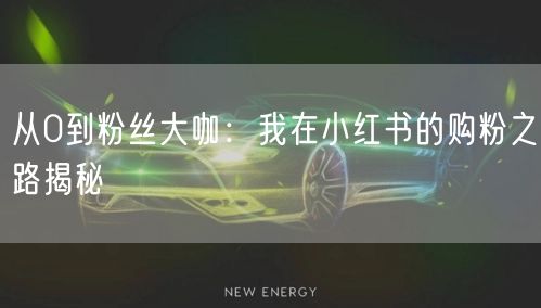 从0到粉丝大咖：我在小红书的购粉之路揭秘